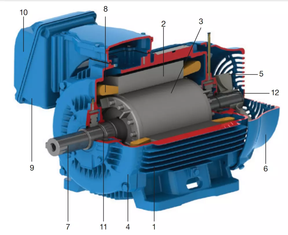 Components of an Electric Motor