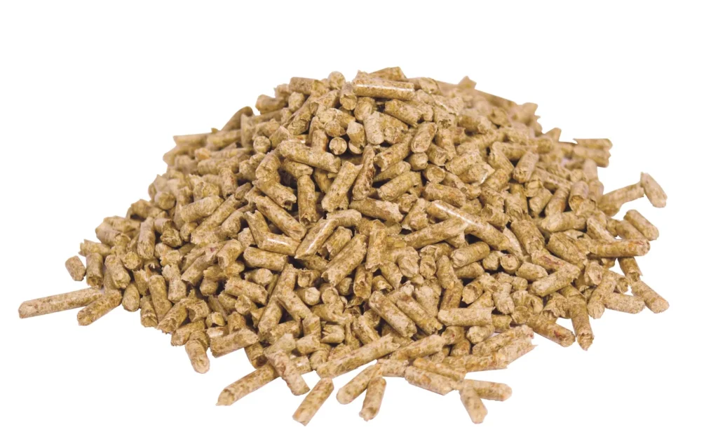 Biomass Energy