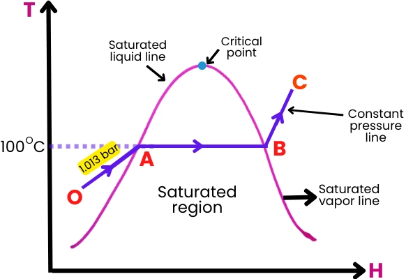 Steam Cycle and Its Components