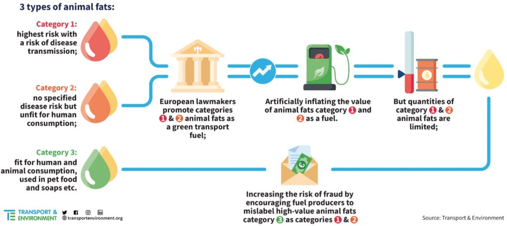 Steam Turbine for Electricity Generation with Animal Fat