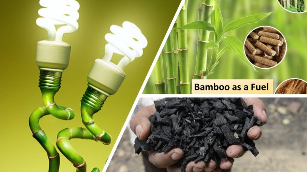 Electricity Generation with Bamboo