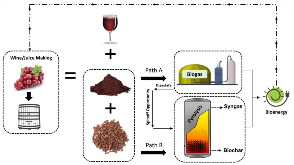 Steam Turbine for Electricity Generation with Grape Pomace