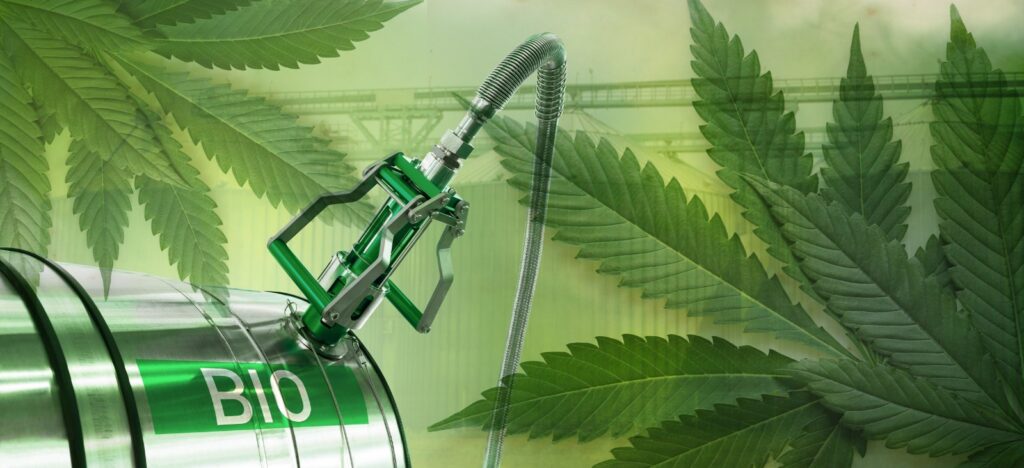 Steam Turbine for Electricity Generation with Hemp
