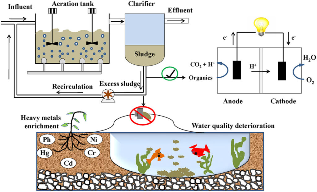 Steam Turbine for Electricity Generation with Municipal Sewage Sludge