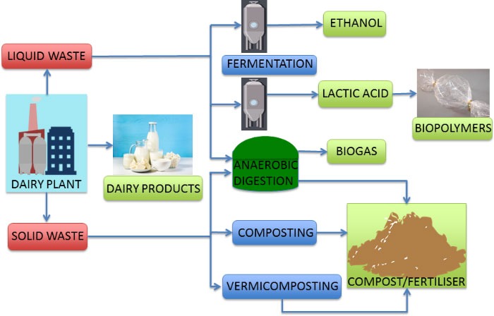 Steam Turbine for Electricity Generation with Dairy Waste