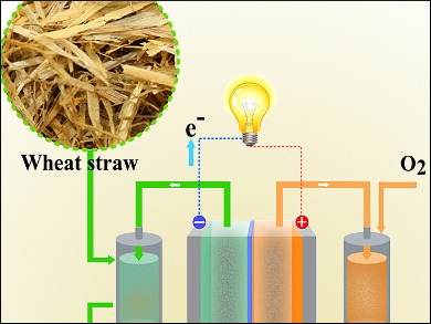Steam Turbine for Electricity Generation with Wheat Bran