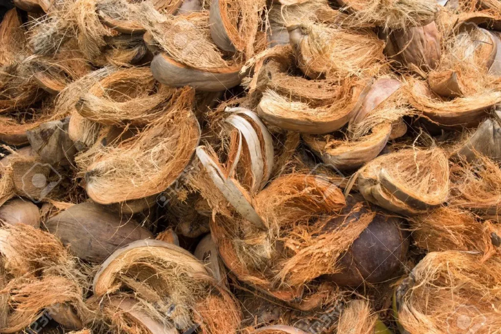 Steam Turbine for Electricity Generation with Coconut Husk